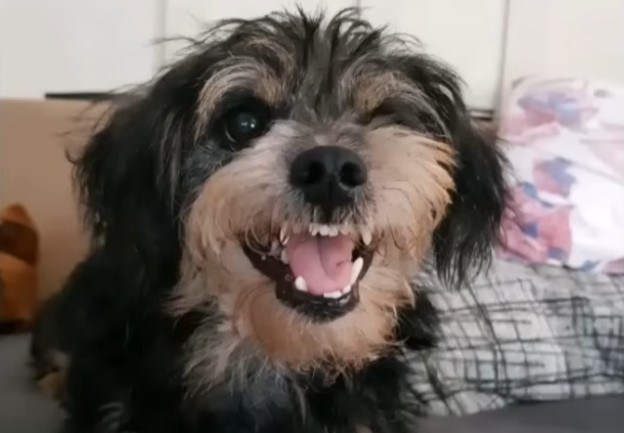 Extra image from article