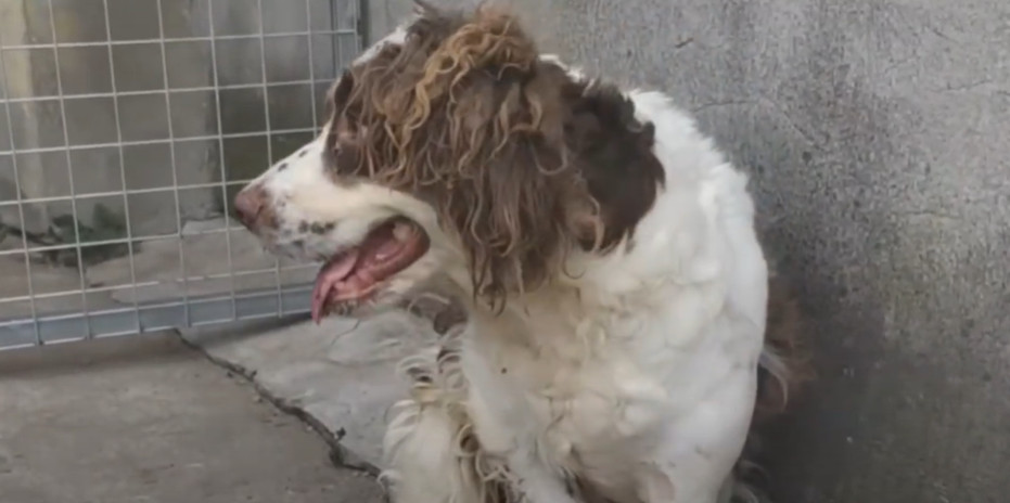 In a dedicated space designed for specia...