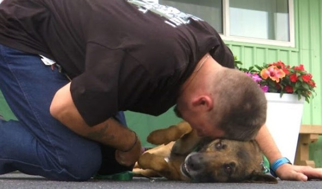 Extra image from article