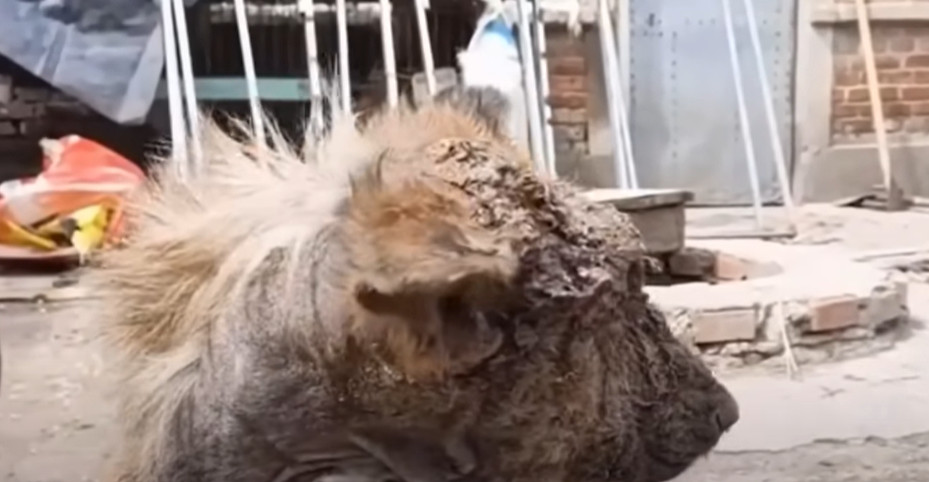 Her recovery was marked by subtle yet si...