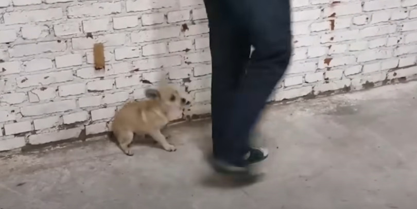 Extra image from article