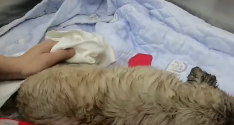 Sitting by his side for long hours, I re...