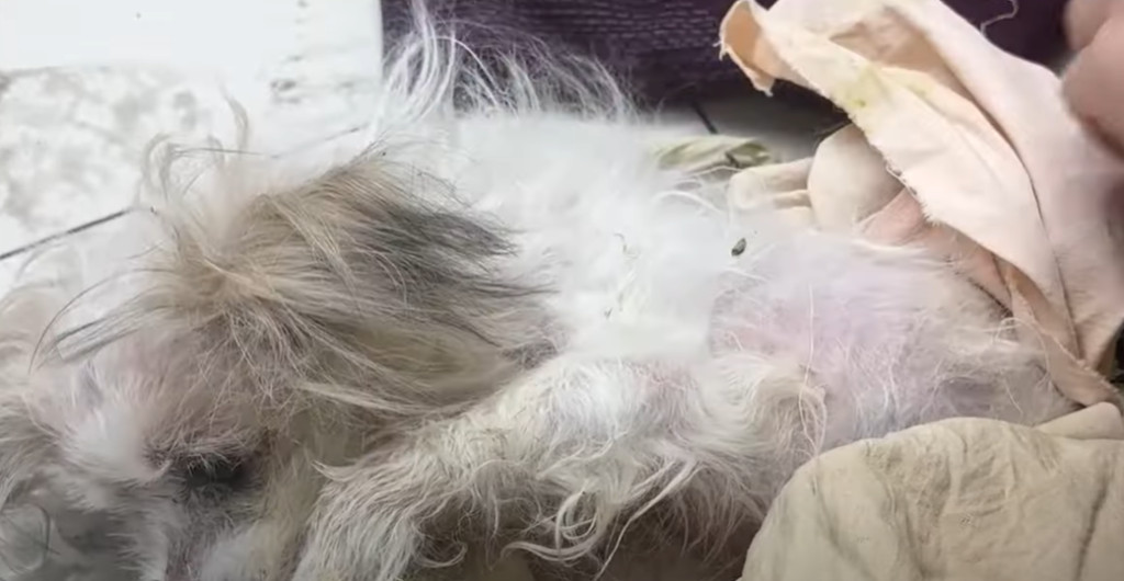 His story highlights the resilience of a...