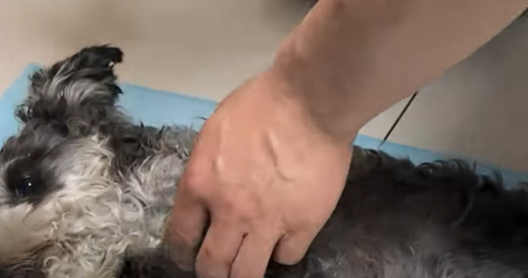 Liu Li’s concern deepened as she asked, ...