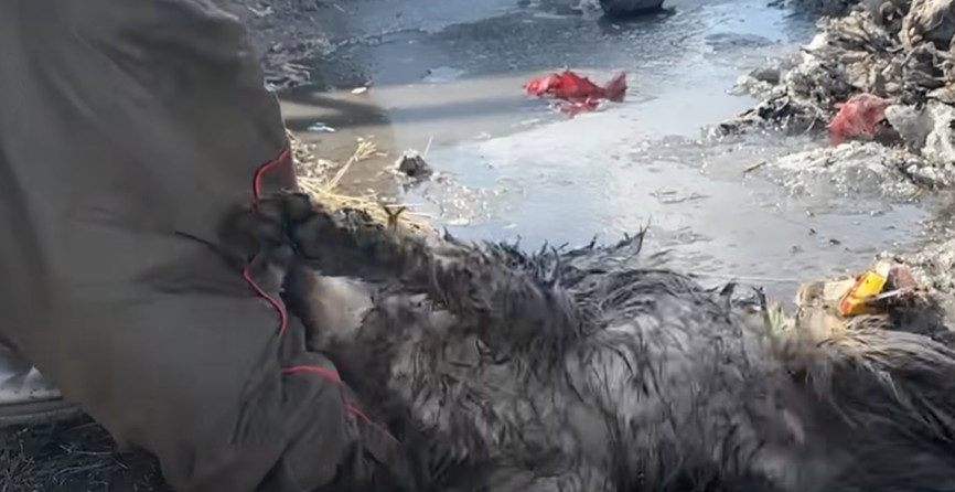 The gratitude of the rescue team, expres...