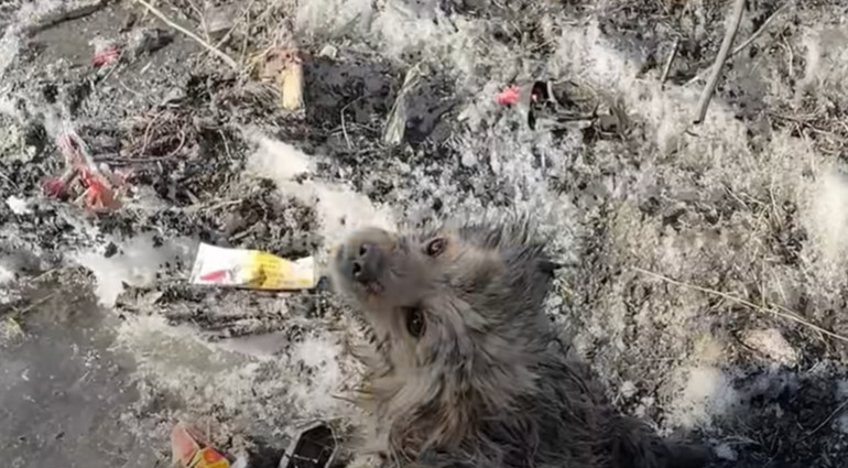 Driven by a shared goal to make a differ...