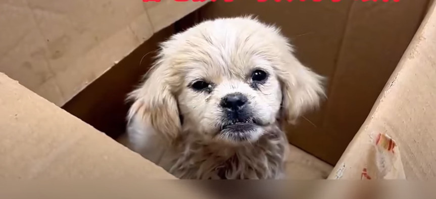 As he adjusted to his new, loving surrou...