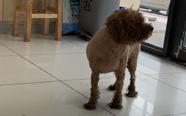 Extra image from article