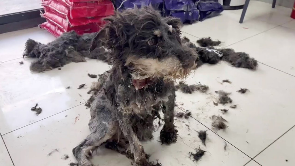 Upon arrival, the rescue team, led by Li...