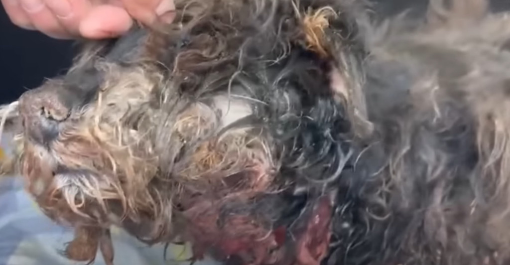 Daily life at the camp was filled with a...