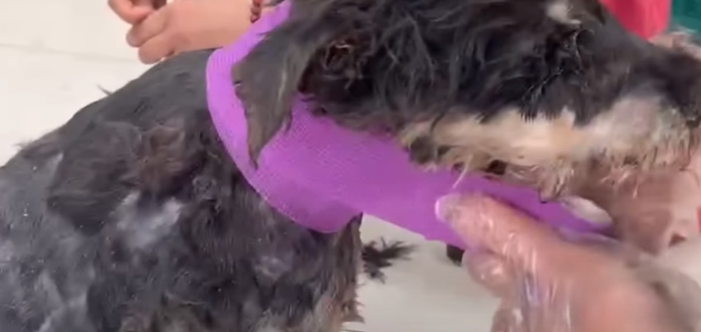 As time passed, the fruits of their labo...