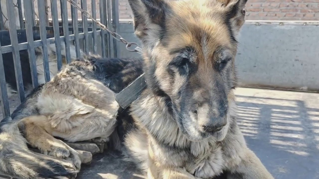 Upon visiting the quarantine area, Liu L...