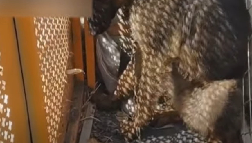 Liu Li’s anger surfaced when she encount...