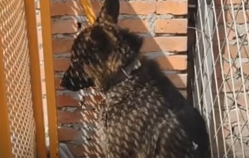 As she prepared meals and cared for the ...