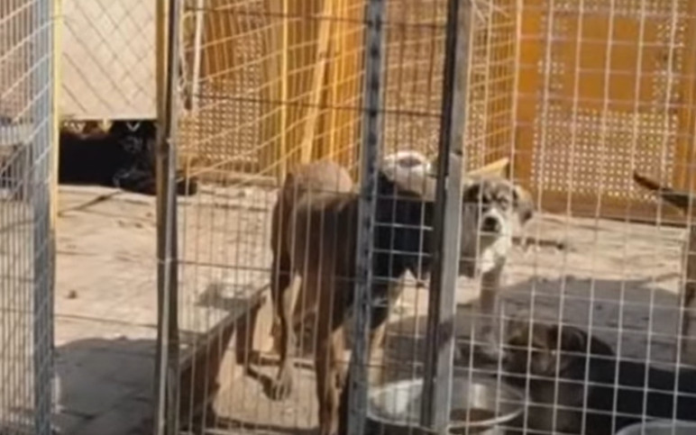 Extra image from article