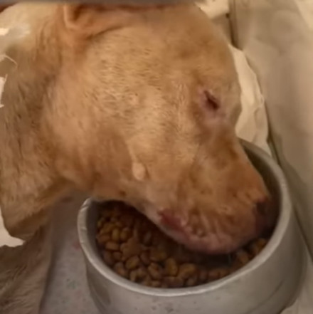 Valente's transformation was nothing sho...