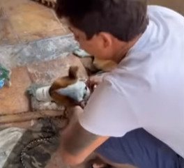 Extra image from article