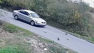 Bystanders paused in shock as concern ov...