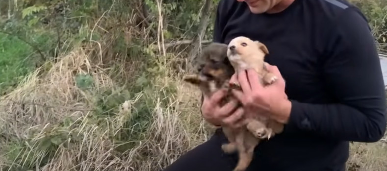 In their new homes, these courageous lit...