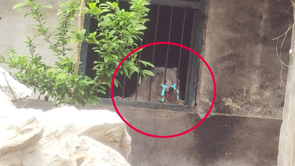 As they drew closer, the extent of the d...