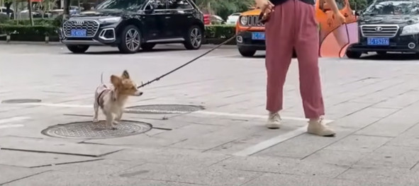 However, his journey to full recovery is...