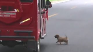 Once we safely reached home, it became e...