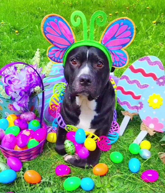 Extra image from article