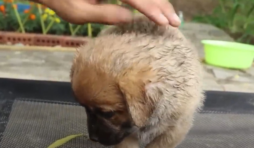 Our immediate plan involves setting up a...