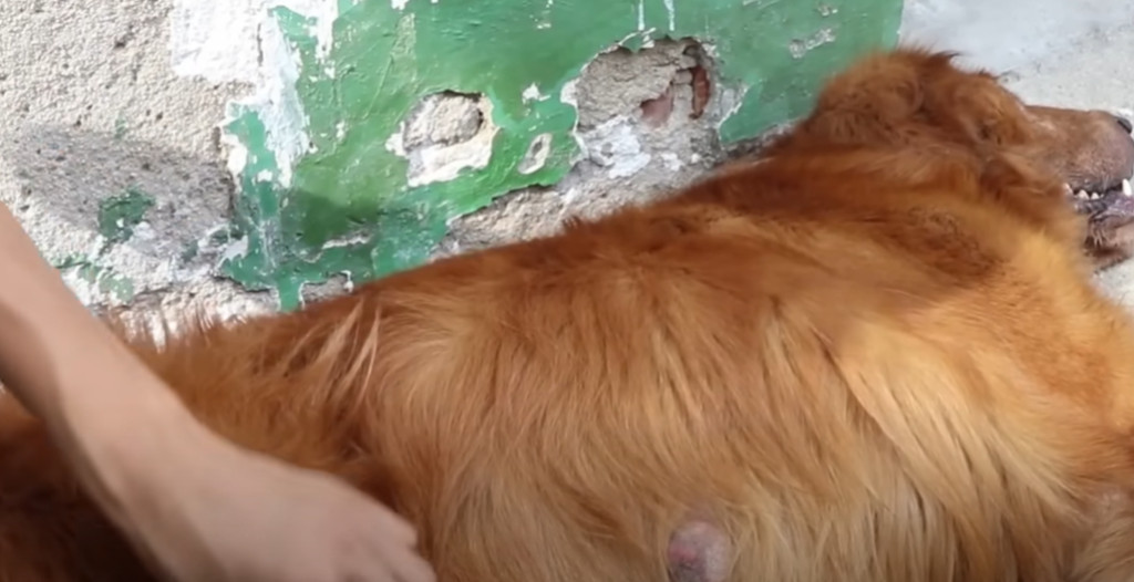 Her transformation was inspiring. Initia...