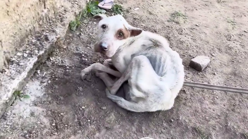 John's plight was distressing. Tumors co...