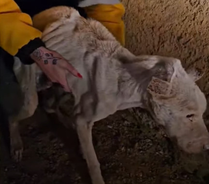 John's healing journey was gradual but p...