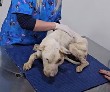 John's ordeal served as a stark reminder...