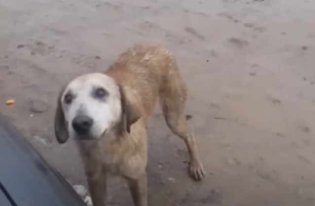 Her road to recovery was fraught with ch...