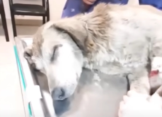 Pakdasht's incredible transformation is ...