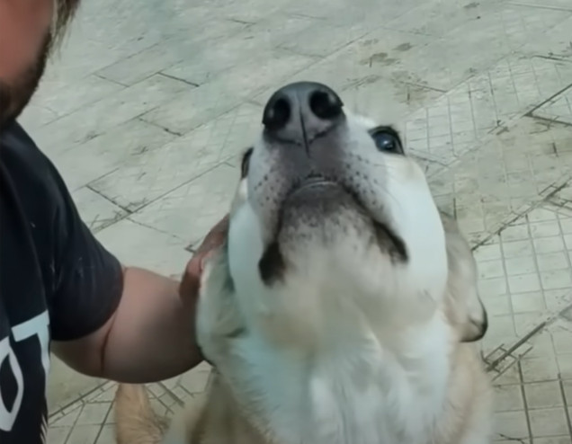 Extra image from article