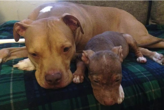 Extra image from article