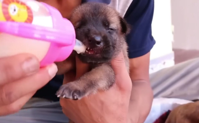 Extra image from article