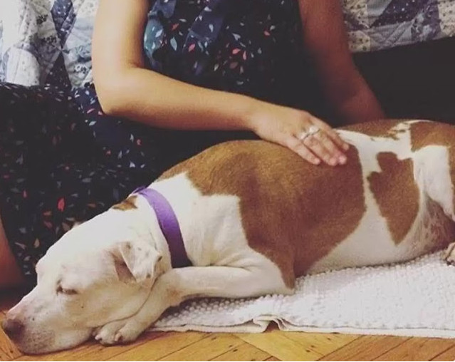 Extra image from article