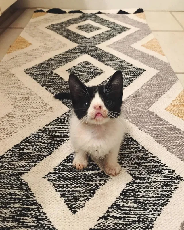 William has distinctive facial features,...