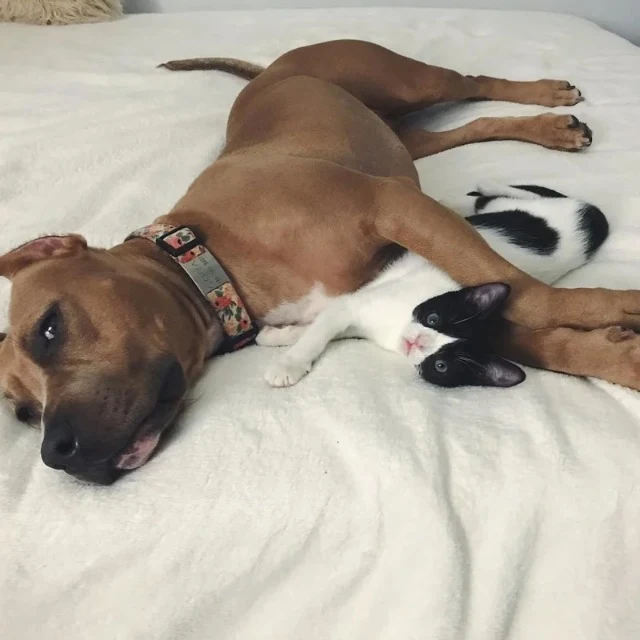 Now ten months old, William has grown in...