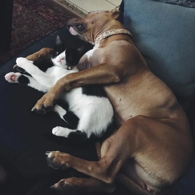 Share this inspiring story with your fri...