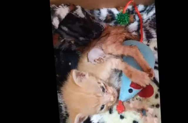 Though she struggled to drink, she made ...