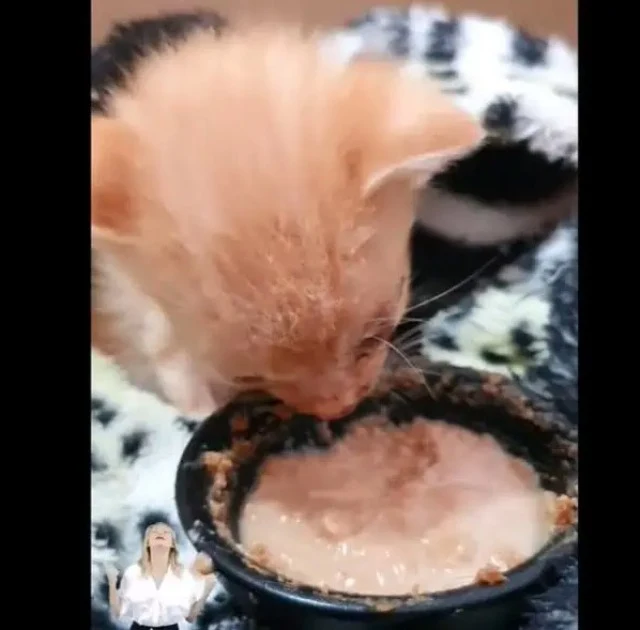 Leozi's journey serves as a powerful rem...