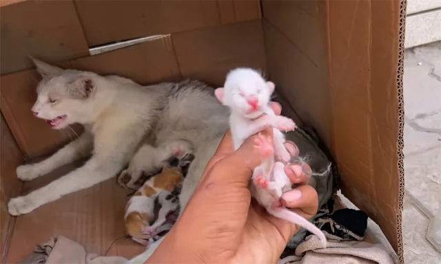 We approached slowly, aiming to earn her...