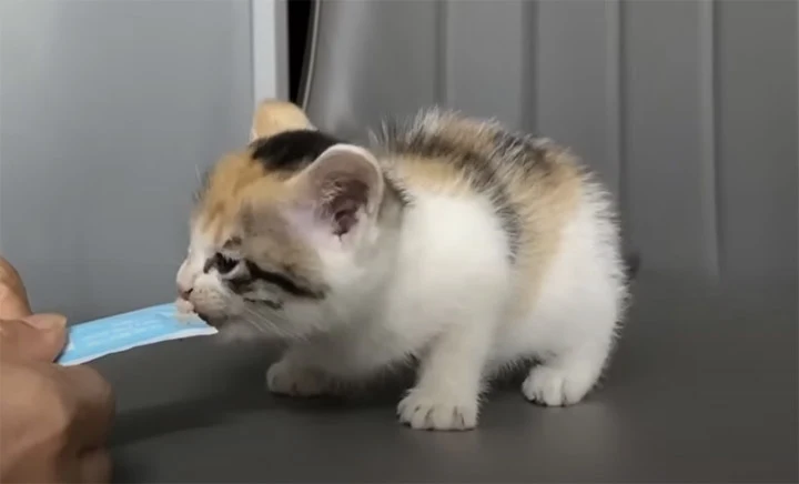 This heartwarming story underscores the ...