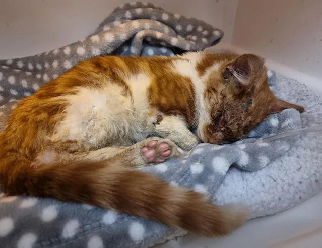 Remarkable progress came in stages. With...