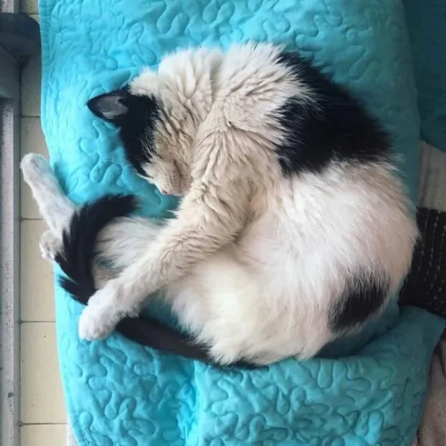 Extra image from article