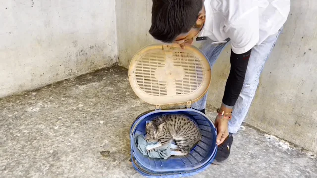 Extra image from article