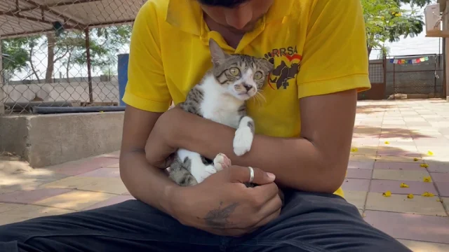 Extra image from article