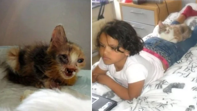 However, a compassionate seven-year-old ...